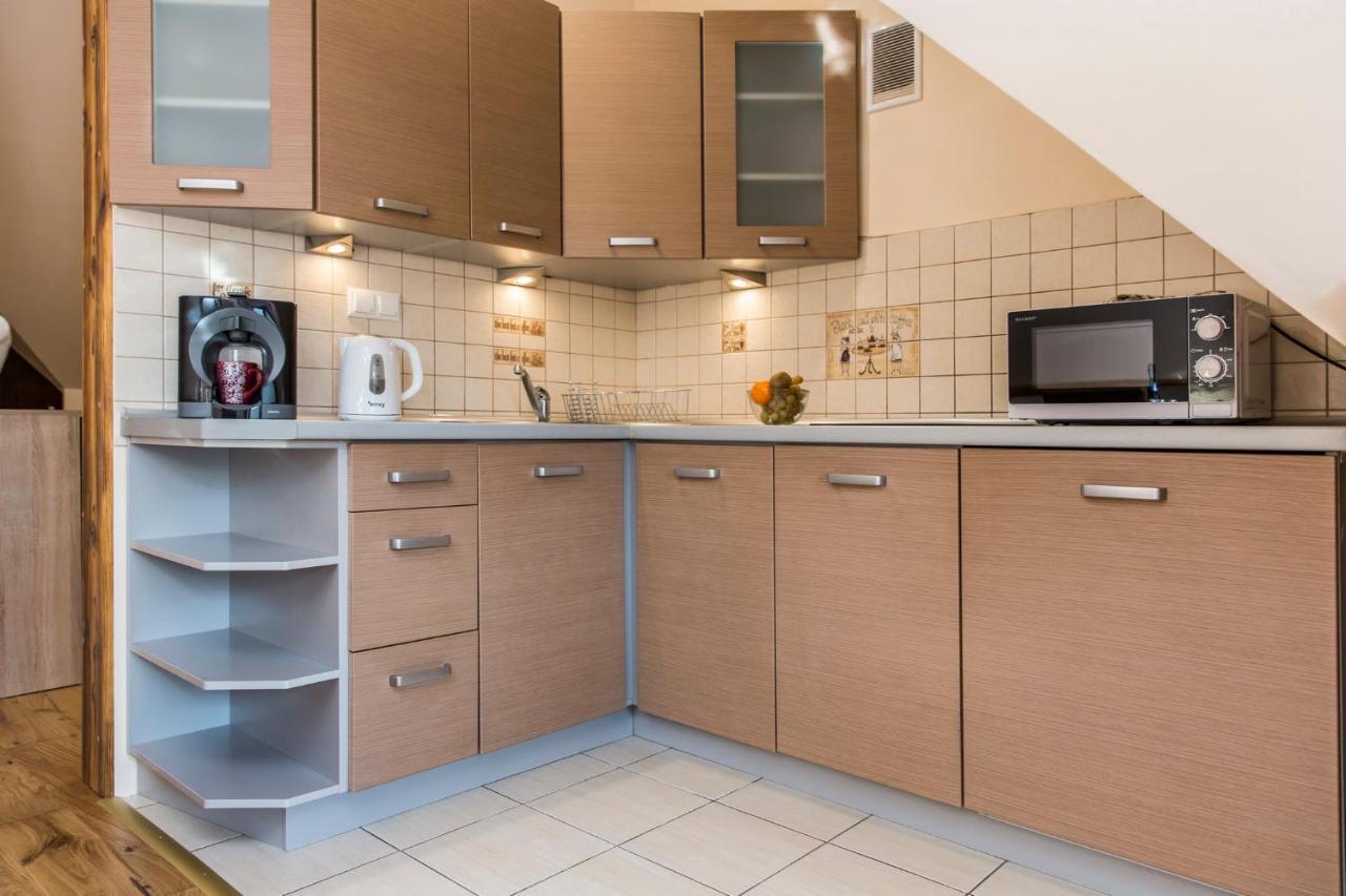 Apart Styl Apartament Roza Pustyni, Centrum Miasta ザコパネ エクステリア 写真