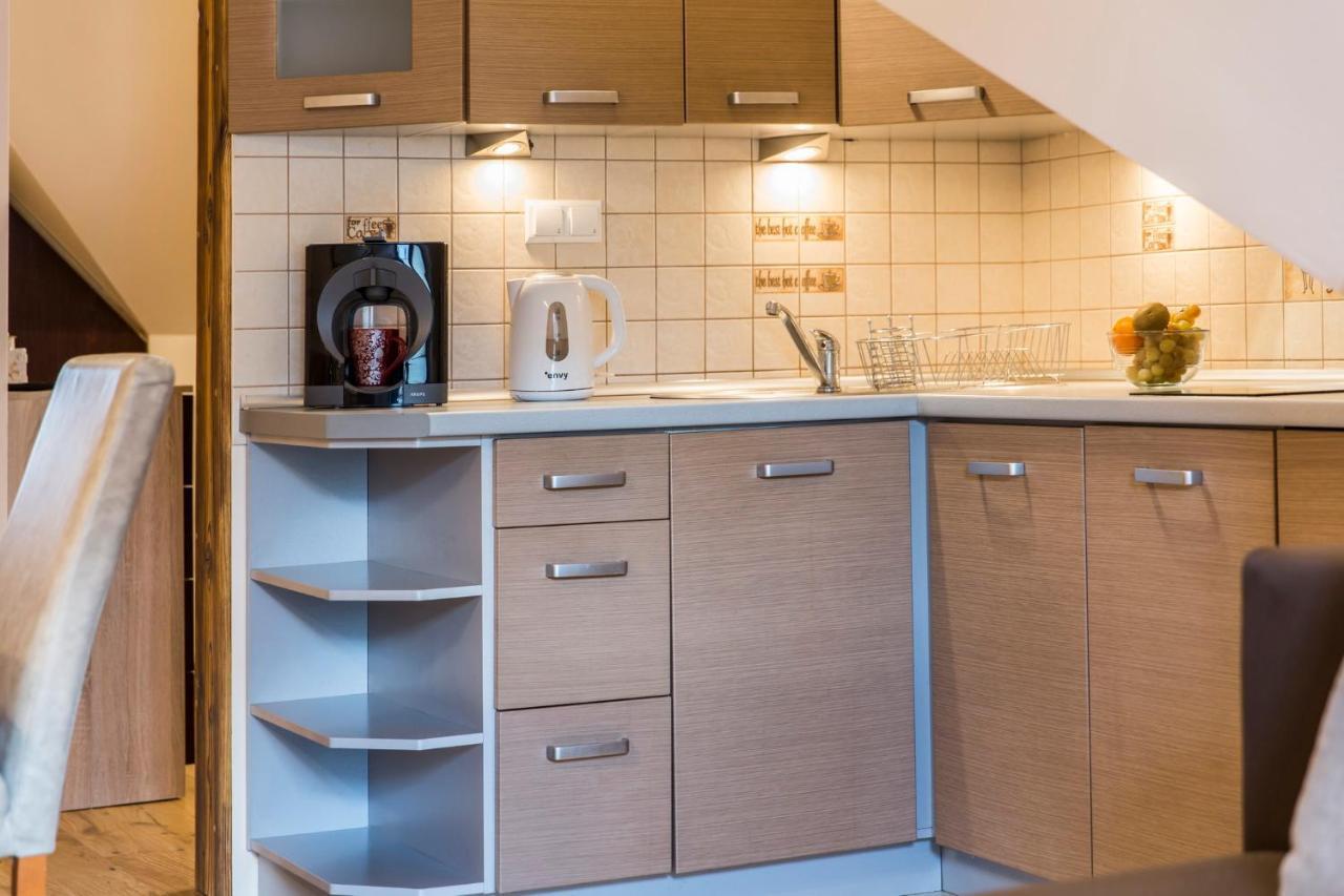 Apart Styl Apartament Roza Pustyni, Centrum Miasta ザコパネ エクステリア 写真