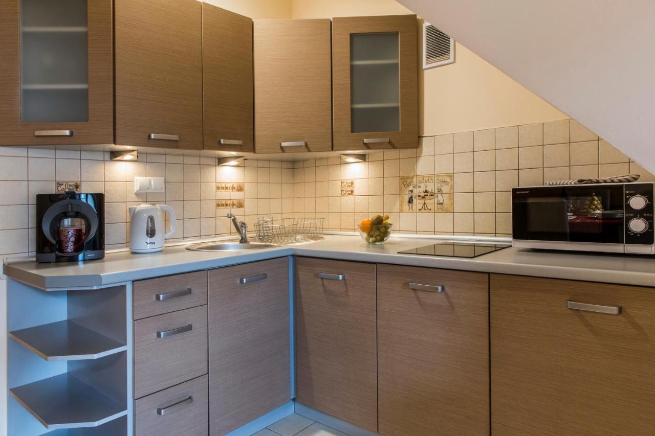 Apart Styl Apartament Roza Pustyni, Centrum Miasta ザコパネ エクステリア 写真